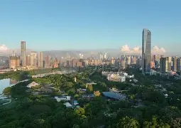 包含深圳男篮迎荷甲关键赛，转会期强势反弹，目标明确，资深球员宣示担当的词条